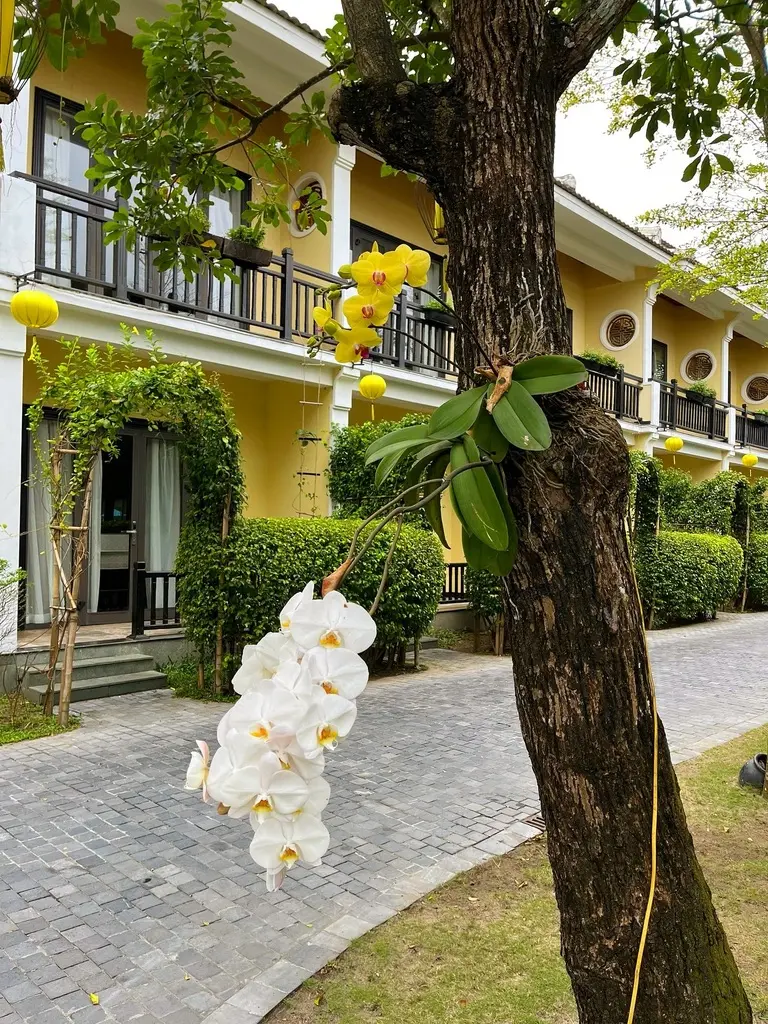 Our Rainy Anniversary Weekend in Hội An