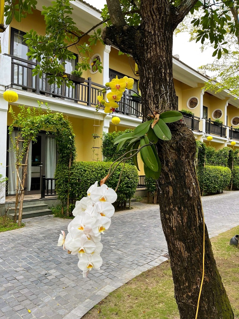 Our Rainy Anniversary Weekend in Hội An